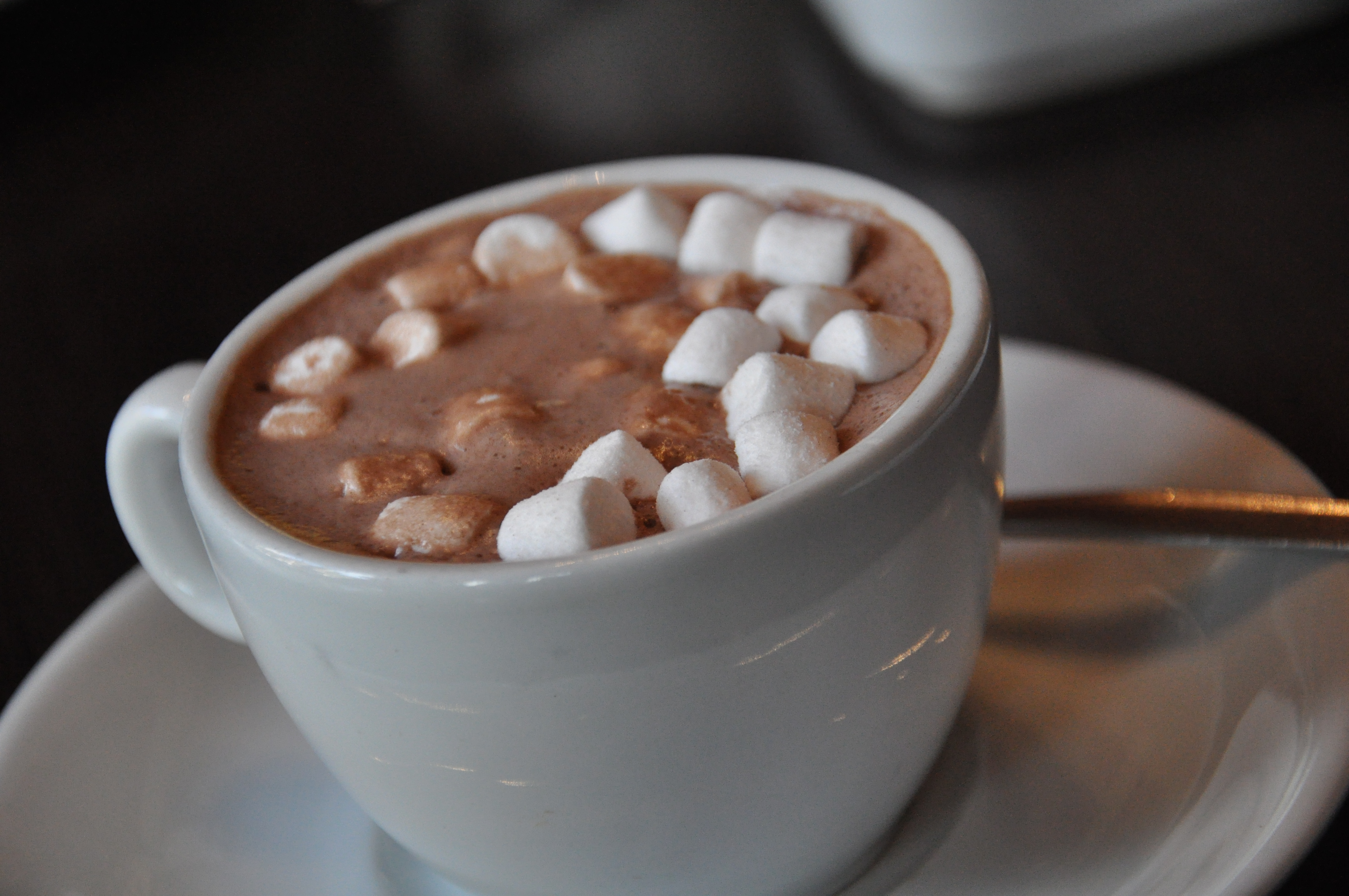 [Image: marshmallow_hot_chocolate_by_g_riluv-d3jx8gm.jpg]